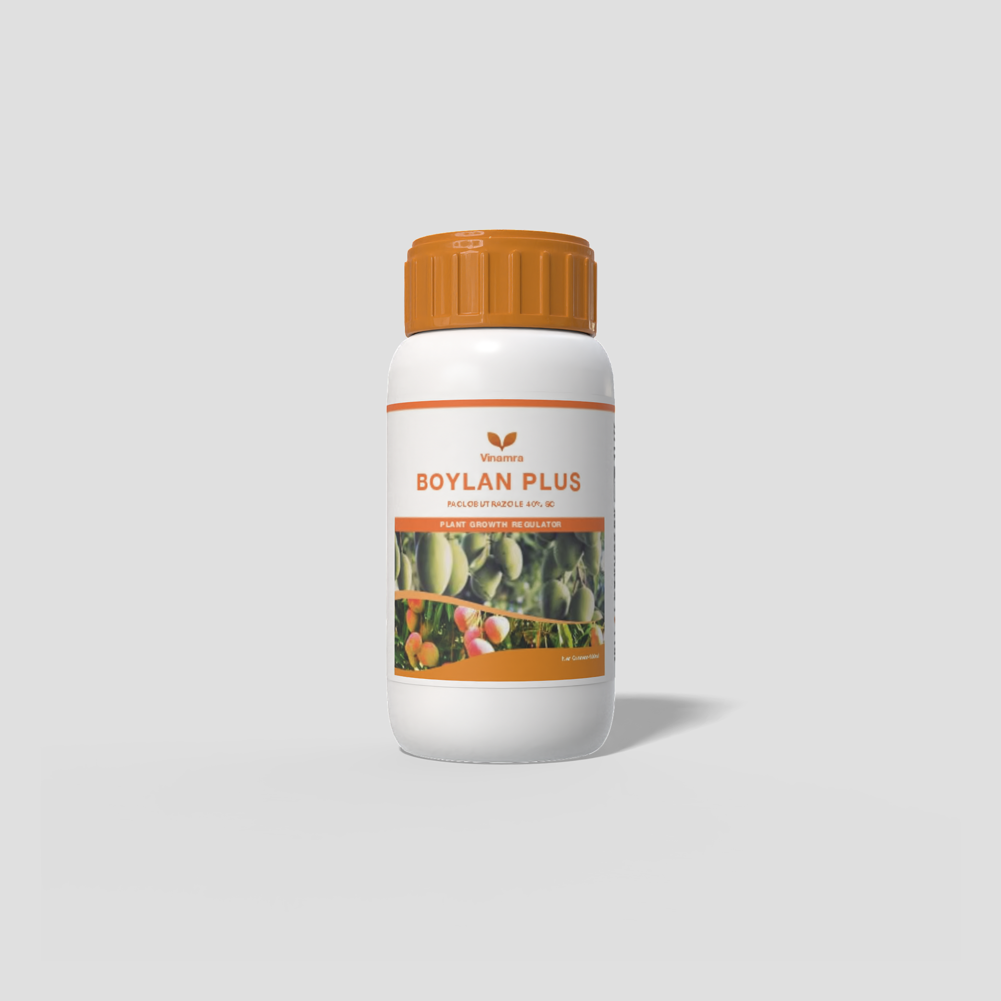 Boylan Plus 