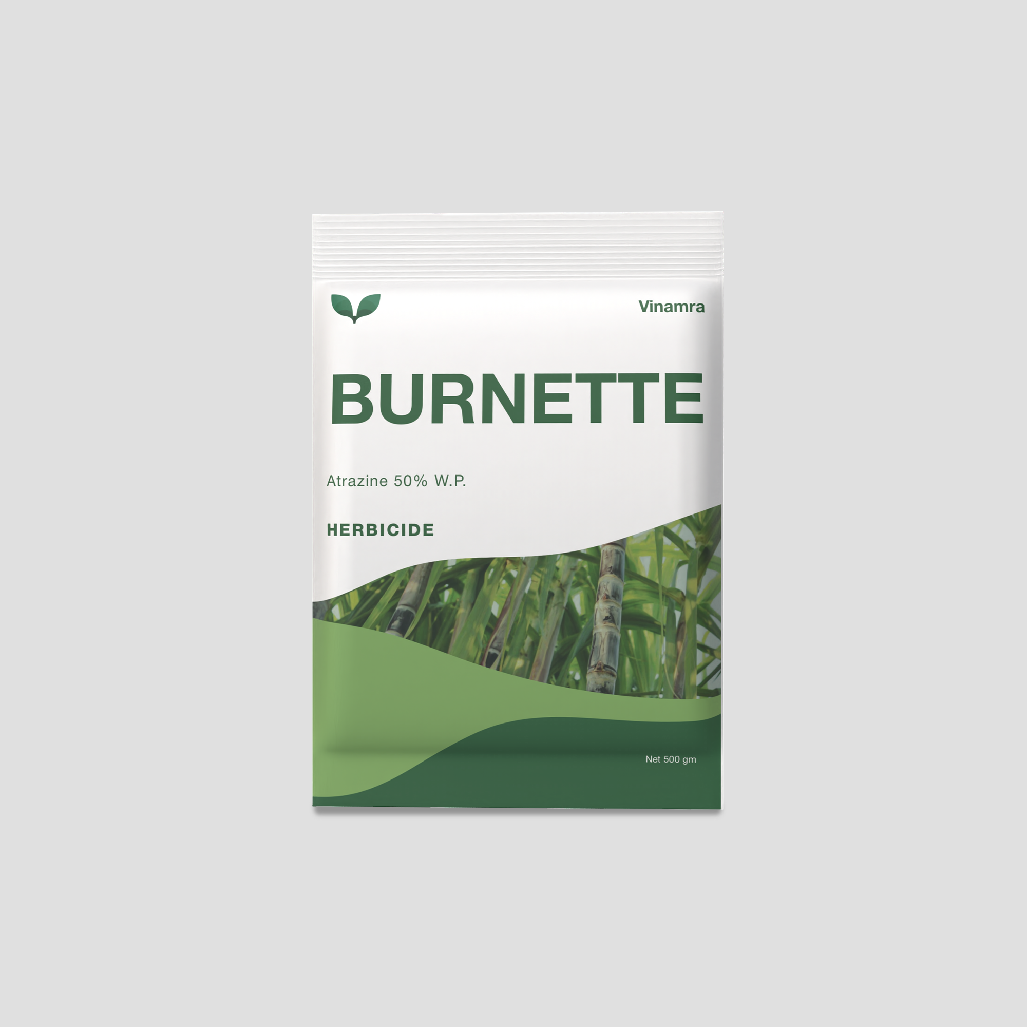 Burnette 